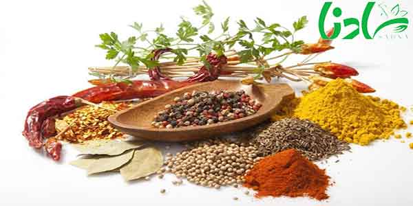 ادویه های دنیای جدید